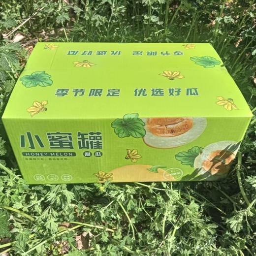如蜂蜜般甜脆！【山东冰糖蜜罐甜瓜 】3斤/4.5斤 浓香多汁 肉脆瓤蜜爽口不齁喉 外皮薄 直接洗洗带皮吃 商品图6