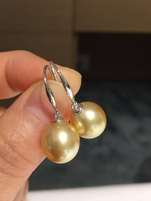 23.
南洋金珍珠耳钩 💛
10-11mm S925银镶嵌 椭圆 微瑕 珠光超亮 优雅金色 商品图1
