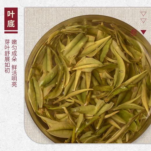 【山纯限品】（2026年绿茶）001安吉白茶25g 商品图4