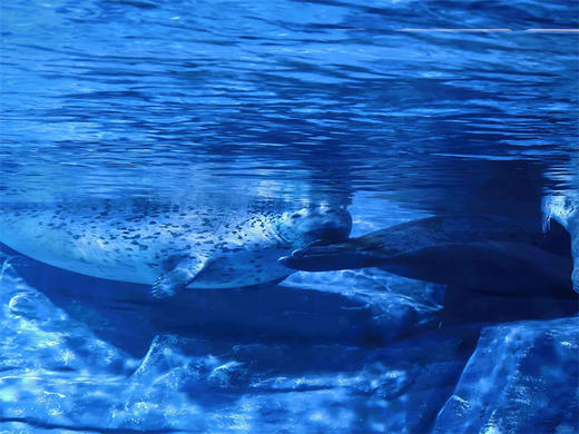 五一5日【大连旅顺】｜大连深度-旅顺蓝眼泪-营口鸟浪-鲅鱼圈-葫芦岛-渤海湾浪漫海岸线 商品图8