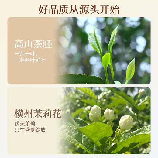 zs非遗传承【谢大高】茉莉红茶（方罐）茉莉金骏眉 五窨一提 红茶醇厚 花香交融 可冷泡可热泡 商品图2
