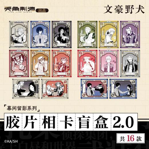 文豪野犬-幕间留影系列-胶片相卡盲盒2.0(16个/盒) 商品图0