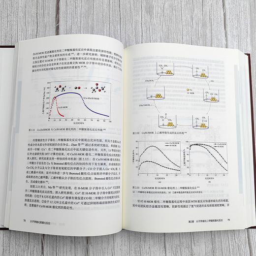 分子筛催化羰基化反应 商品图4