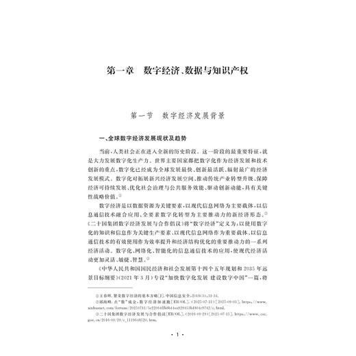 数据知识产权保护长效机制及治理标准优化研究/董玉鹏 著/浙江大学出版社 商品图1
