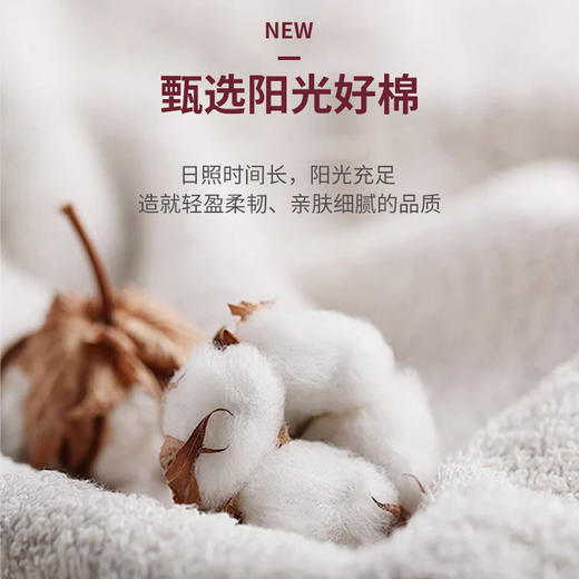 笙观相沐230克纯棉长袖T恤 正肩设计 立体裁切版型 亲肤舒适 商品图1