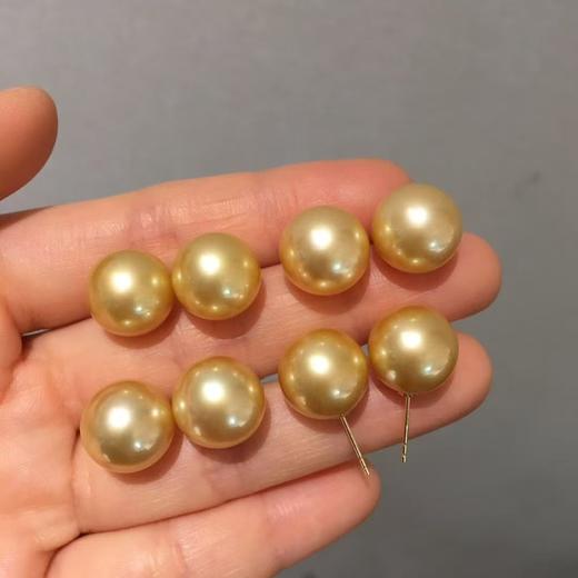 10.
招财金🤩🤩
18k金镶南洋金珠耳钉，12-13mm，规格大气 ，极微瑕，光泽亮，优雅金色 商品图0