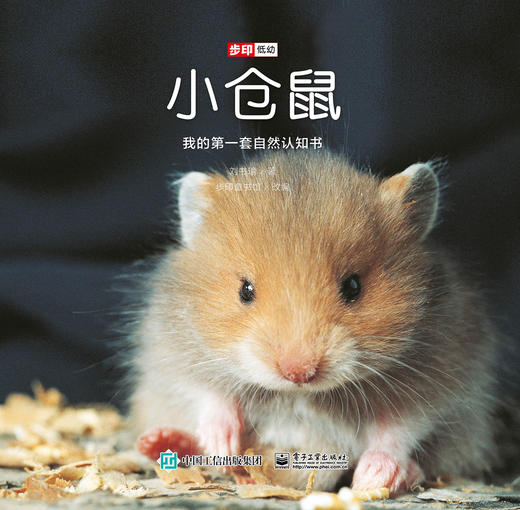 【Day 24】识字12《丁丁去订鼎》识字游戏 商品图0