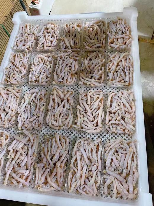 xm-当季新鲜沙虫，这个你有钱市场上不一样的买的到的一款👏特别适合熬夜上火的朋友多吃 商品图4