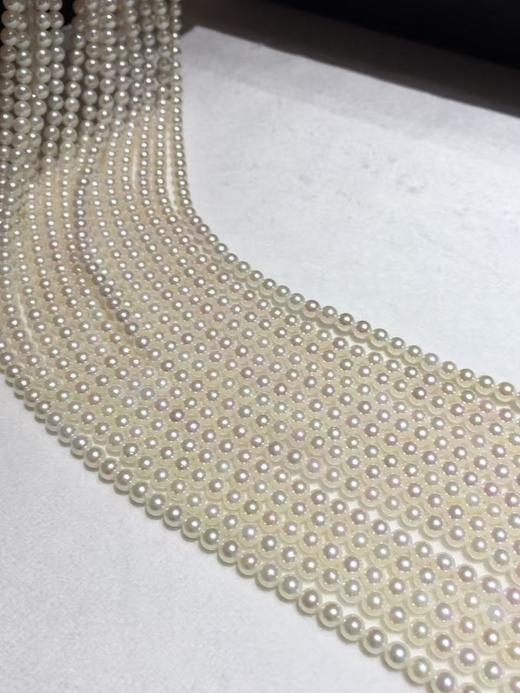 5.AKOYA小灯泡
4-4.5mm 圆 微瑕 珠光超亮 S925银扣子 约43cm 商品图1