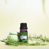 宜铂蓝 植物精油  甜橙/柠檬/大西洋雪松/绿森林/蓝桉尤加利   10ml/瓶、30ml/瓶 商品缩略图14
