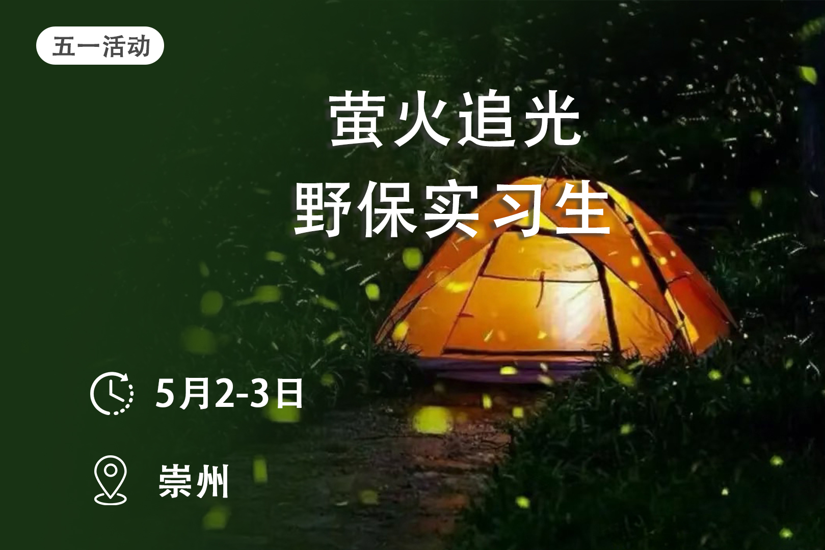 萤火追光野保实习生