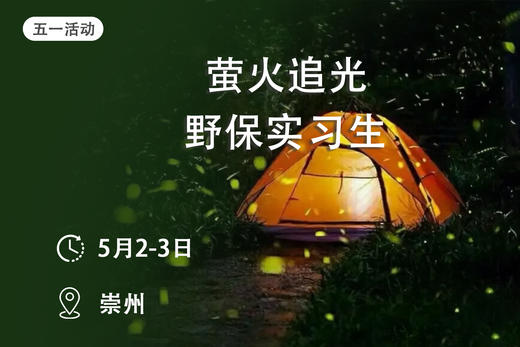 萤火追光野保实习生 商品图0