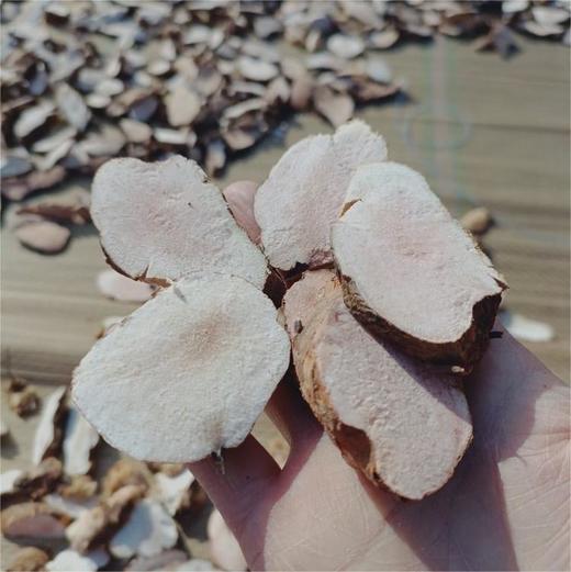 云贵药食同源食材系列丨云南野生麦冬，云南仿野生老树茯苓，云南文山三七，野生五指毛桃，野生土茯苓源自云贵地区的道地食材。三七可打粉/切片；茯苓可打粉，请订单备注，或联系客服，⭐️申通快递 商品图13