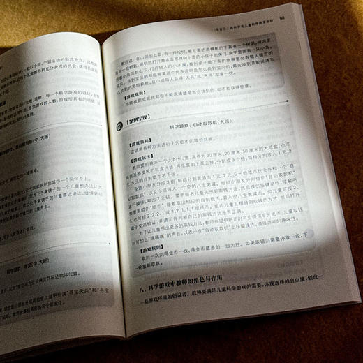 学前儿童科学教育与活动指导 第二版 张文军 学前教育专业系列教材 商品图11