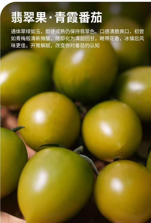 一口唤醒童年！四川西昌海拔 1500 米「青霞番茄」 商品图1