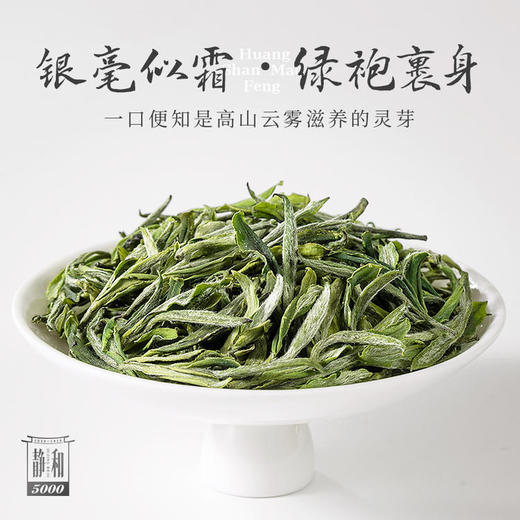【2026新茶上市】谢裕大 黄山毛峰 静和5000 特一级 绿茶礼盒200g 送礼推荐 商品图3