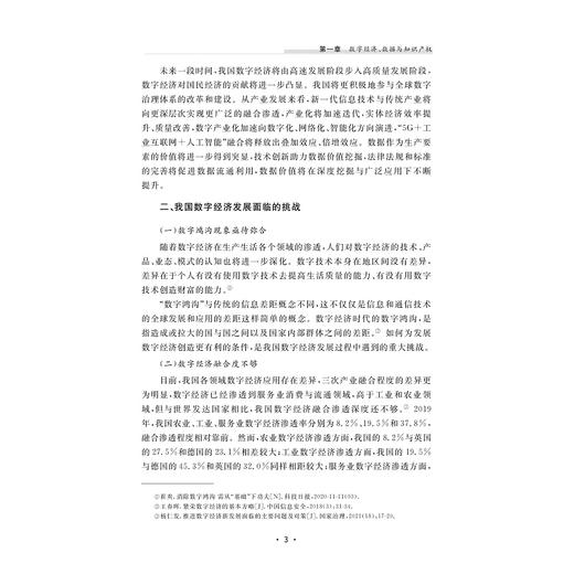 数据知识产权保护长效机制及治理标准优化研究/董玉鹏 著/浙江大学出版社 商品图3