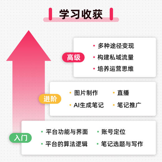 小红书新攻略：DeepSeek笔记生成+账号运营+直播变现 小红书AI豆包创作运营推广变现实战书籍 商品图3
