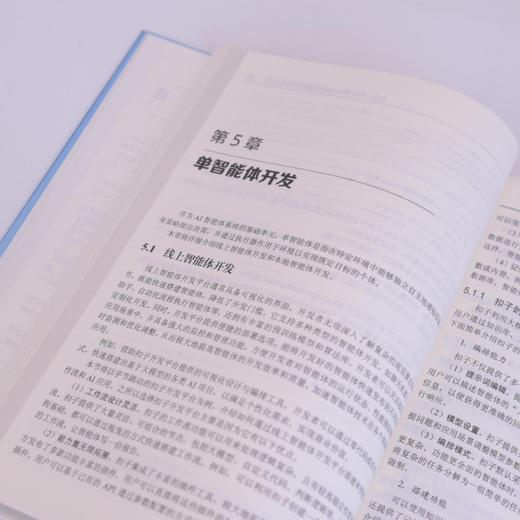 深入浅出AI智能体 基于DeepSeek的AI Agent开发实战 智能体开发AI编程agent设计模式 商品图4