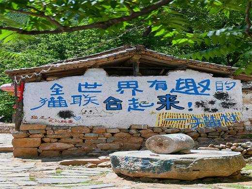 五一2日【太行马尔代夫】｜网红水上公路の保版马尔代夫-九级瀑布-治愈猫村 商品图8