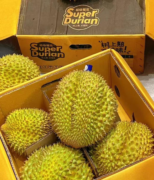 泰国空运金猴金枕头榴莲（双A果）（散称69.8/斤 称重补差）（默认剥好） 商品图0