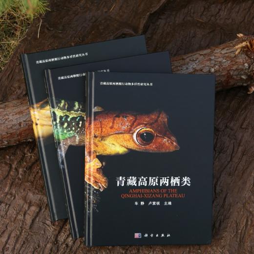 任选：青藏高原两爬三部曲 商品图0