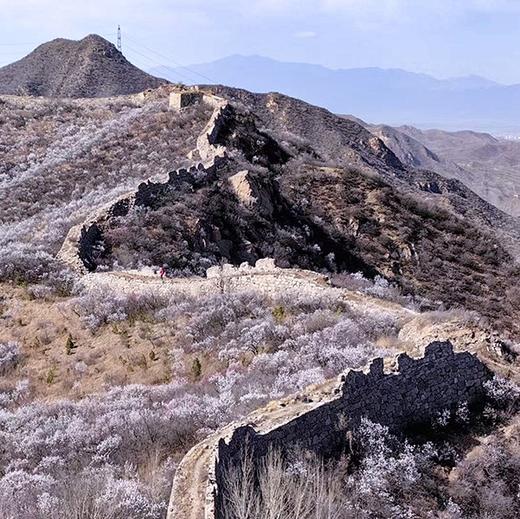 周六1天【踞虎关】长城中的大Vの大营盘-踞虎关-长峪城14公里穿越<中级> 商品图1