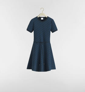 【预售】DR-SK 蓝色老花收腰连衣裙