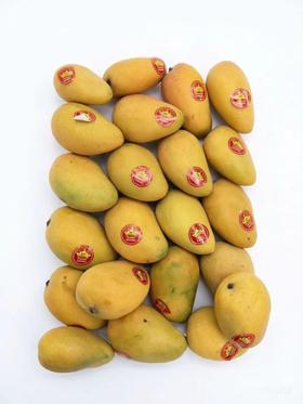 海南大台农芒果 单果4-5两