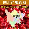 灯笼椒干辣椒500g正宗四川香而不辣微辣特香海椒干货辣椒 商品缩略图1