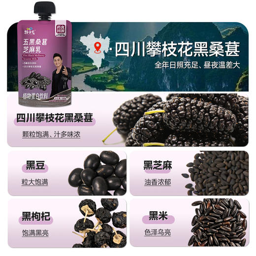 新品上市 五黑桑葚芝麻乳  180克/袋   12袋/盒 商品图4