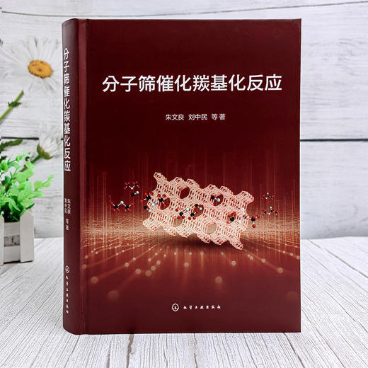 分子筛催化羰基化反应 商品图2