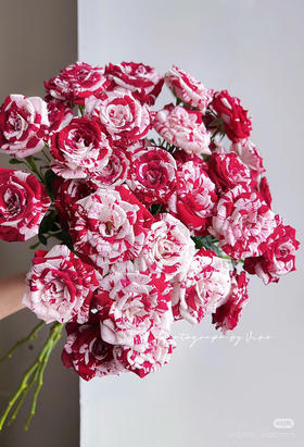 国产多头玫-【鸳鸯泡泡】