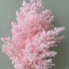 永生花材 ｜ 蓬莱松浅粉色 商品缩略图0