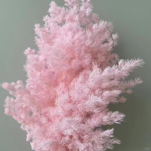 永生花材 ｜ 蓬莱松浅粉色 商品图0