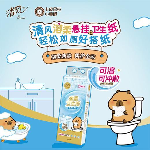 清风 悬挂式溶柔四层底部抽纸 300抽/提 商品图5