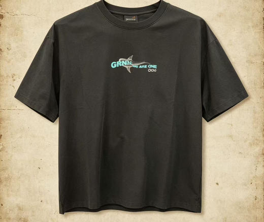 XY/贵人鸟男圆领短袖舒适百搭男运动T恤男宽松纯棉上衣T1252127 商品图1