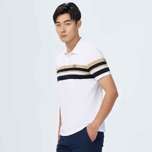 【桑蚕丝】德鲨撞色条纹短袖POLO衫男青年休闲打底翻领t恤 商品图1