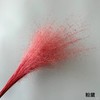 永生花材 | 粉黛乱子草浅红色 商品缩略图0