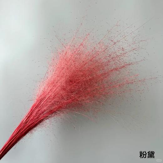 永生花材 | 粉黛乱子草浅红色 商品图0