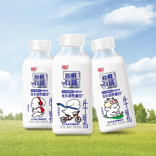 光明240ml新鲜牧场鲜奶 商品图3
