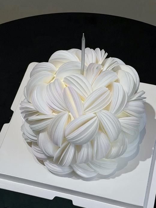 白月光 | 昔果 商品图1