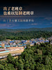 4月14日中午12点【一泡难求老班章】2026年春茶预售老班章茶王地选料，高端鼎奢侈品生肖系列龙珠茶界终极奢侈巨作 中国制茶大师：刘宣义全程监制，600克/罐 商品缩略图3