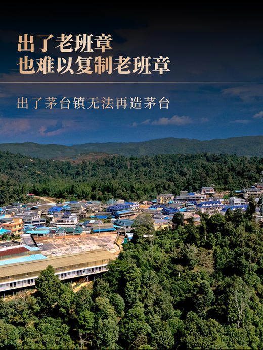 4月14日中午12点【一泡难求老班章】2026年春茶预售老班章茶王地选料，高端鼎奢侈品生肖系列龙珠茶界终极奢侈巨作 中国制茶大师：刘宣义全程监制，600克/罐 商品图3