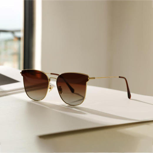 【经典畅销款】ZERSER姿森 JYM668金属记忆钛高清偏光墨镜 商品图3