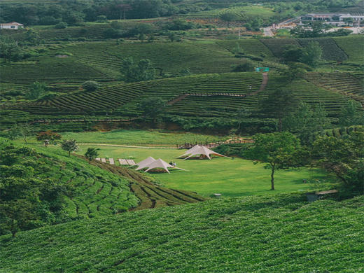 五一4日【河南之南】｜豫南山水の中原盆景嵖岈山-云中仙山鸡公山-伏牛壮美尧山-世界第一中原大佛-胖东来-曹魏古城 商品图7