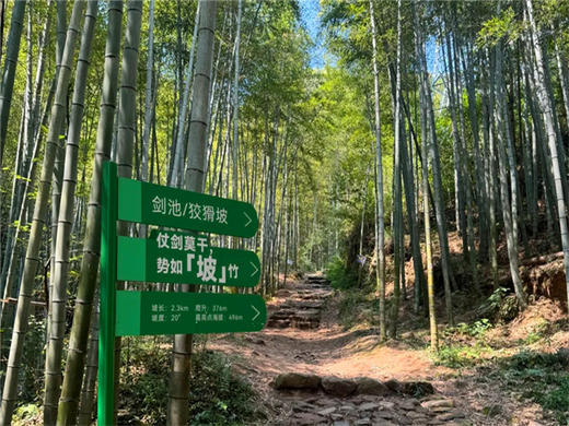 五一4日【浙北秘境徒步】｜章里古道探水帘飞瀑-蒋公古道寻民国秘史の莫干山-茅山仙侠古镇-南京夜景 商品图6