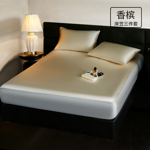 冰丝3件套！ROMASTER罗马世家 冰丝绸床笠款3件套 高定锦氨冰丝绸 凉感黑科技 裸感新体验 8色可选 商品图11
