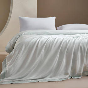 绎生活 桑吉丝双宫茧桑蚕丝天丝夏被