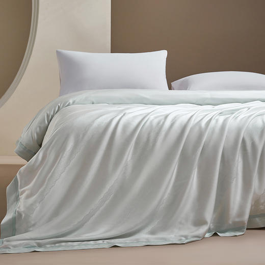 绎生活 桑吉丝双宫茧桑蚕丝天丝夏被 | 柔软透气、丝般爽滑、简约大气 商品图0